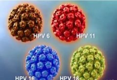 感染HPV病毒后还能打九价疫苗吗？