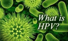 HPV病毒在体内能活多久？