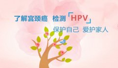 卓域健康科普：不是所有的HPV都会导致宫颈癌