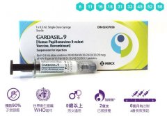 香港9价HPV疫苗多少钱？还会降价吗？