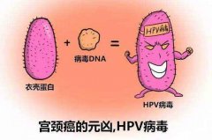 男性是否有必要打宫颈癌疫苗？