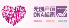 香港无创DNA产检什么时候能进行检测？