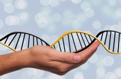 什么是肿瘤ctDNA检测，适合哪些人群？