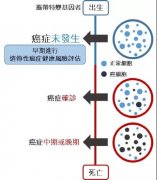 ctDNA癌症早期基因筛查，及时发现癌症的基因突变