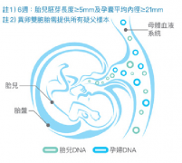 香港哪里可以做无创产前亲子鉴定？