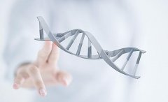 DNA亲子鉴定哪里好？