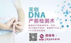 香港无创DNA怎么预约的？