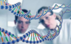 香港无创DNA能检查23对染色体吗？